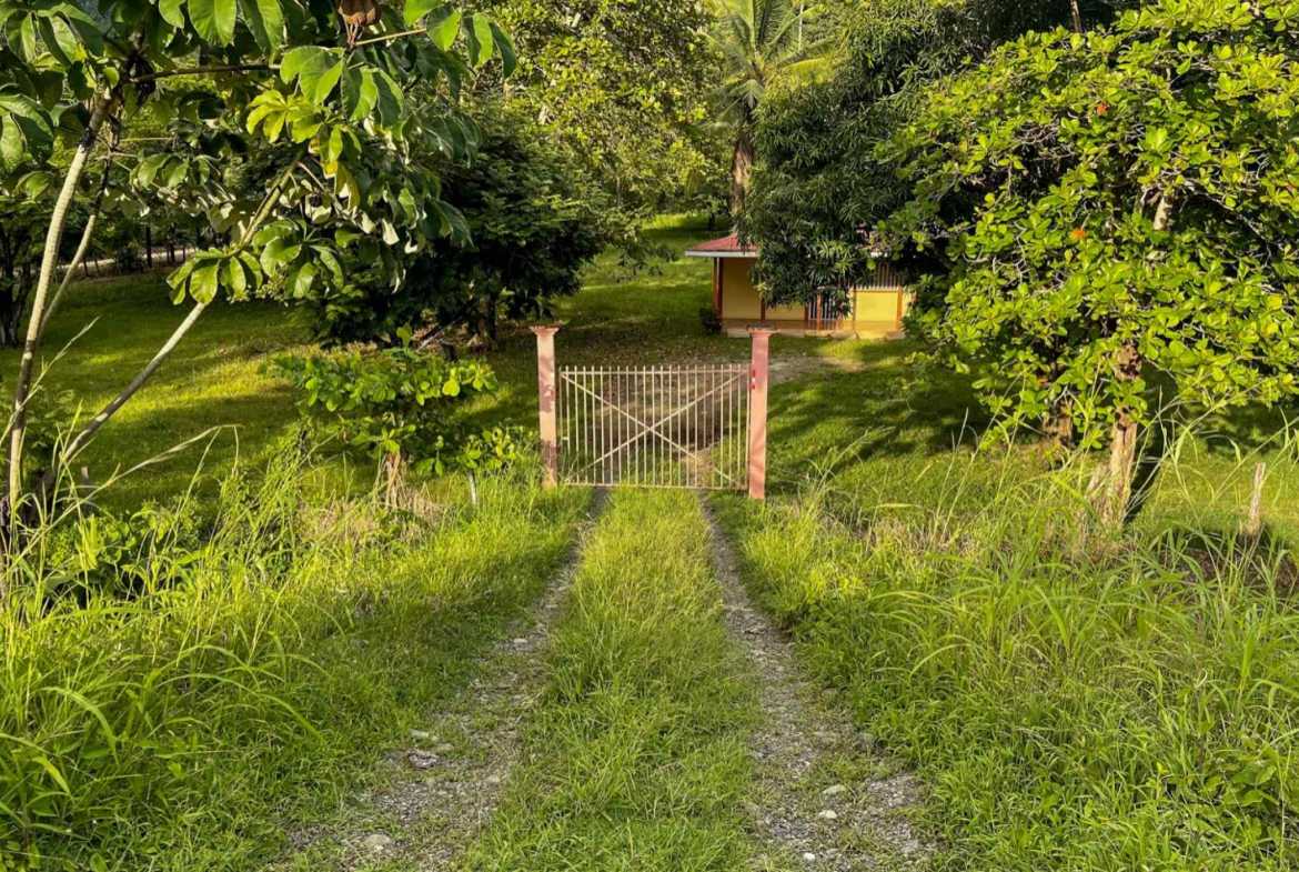 Ocean View 23-Acre Commercial Land with Highway Access in Hatillo Costa Rica photo 19