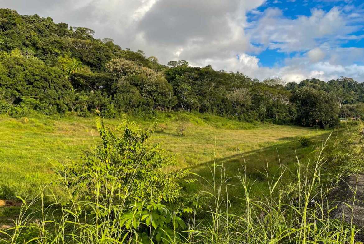 Ocean View 23-Acre Commercial Land with Highway Access in Hatillo Costa Rica photo 18