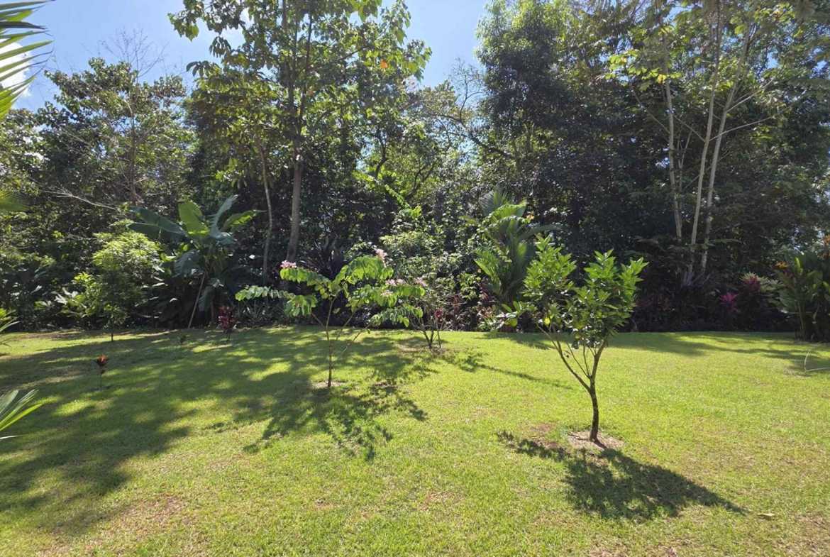 Sustainable 2-Bedroom Solar Home with Creek Frontage in Ojochal Costa Rica photo 32