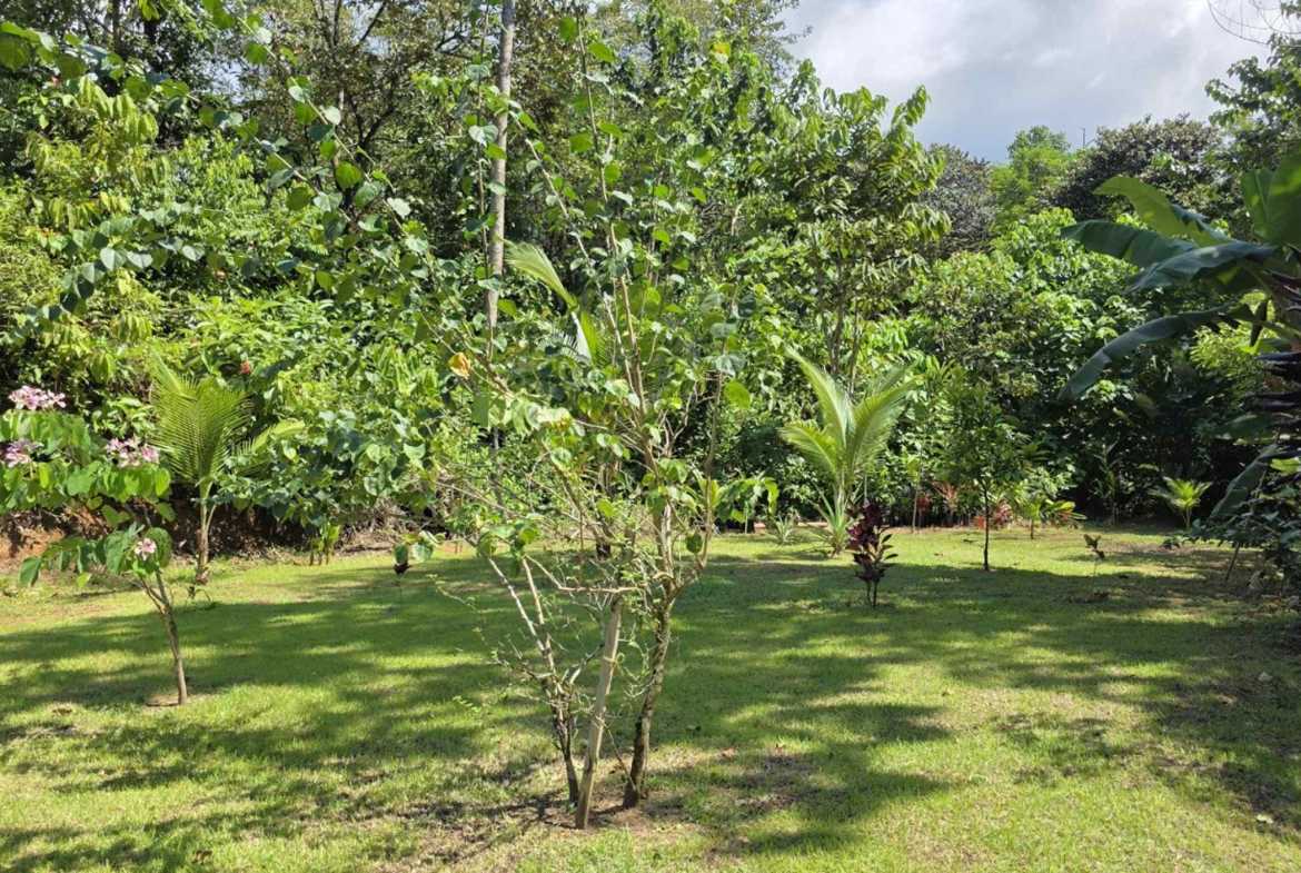 Sustainable 2-Bedroom Solar Home with Creek Frontage in Ojochal Costa Rica photo 28