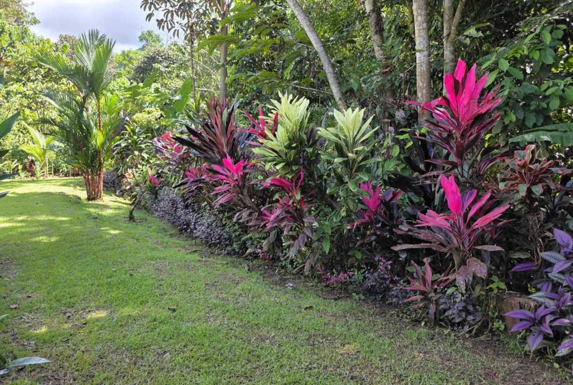 Sustainable 2-Bedroom Solar Home with Creek Frontage in Ojochal Costa Rica photo 26