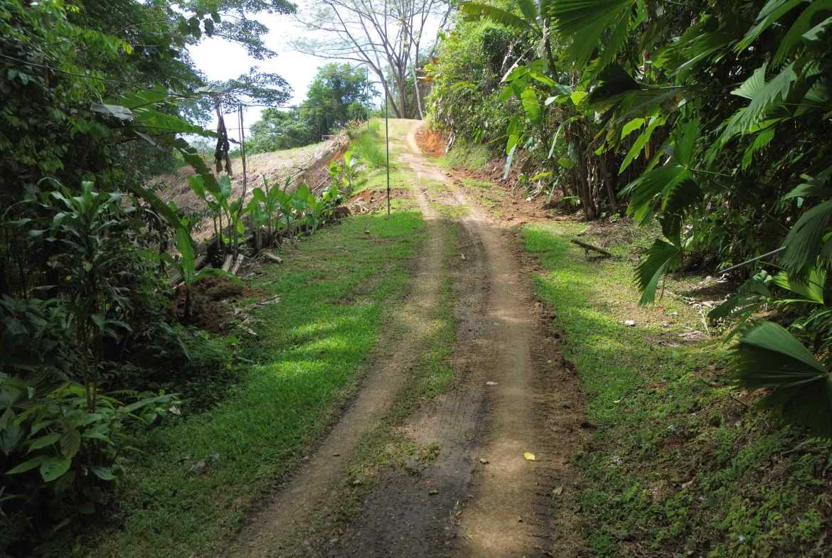 Peaceful 3-Acre Building Lot, photo 14 of 14