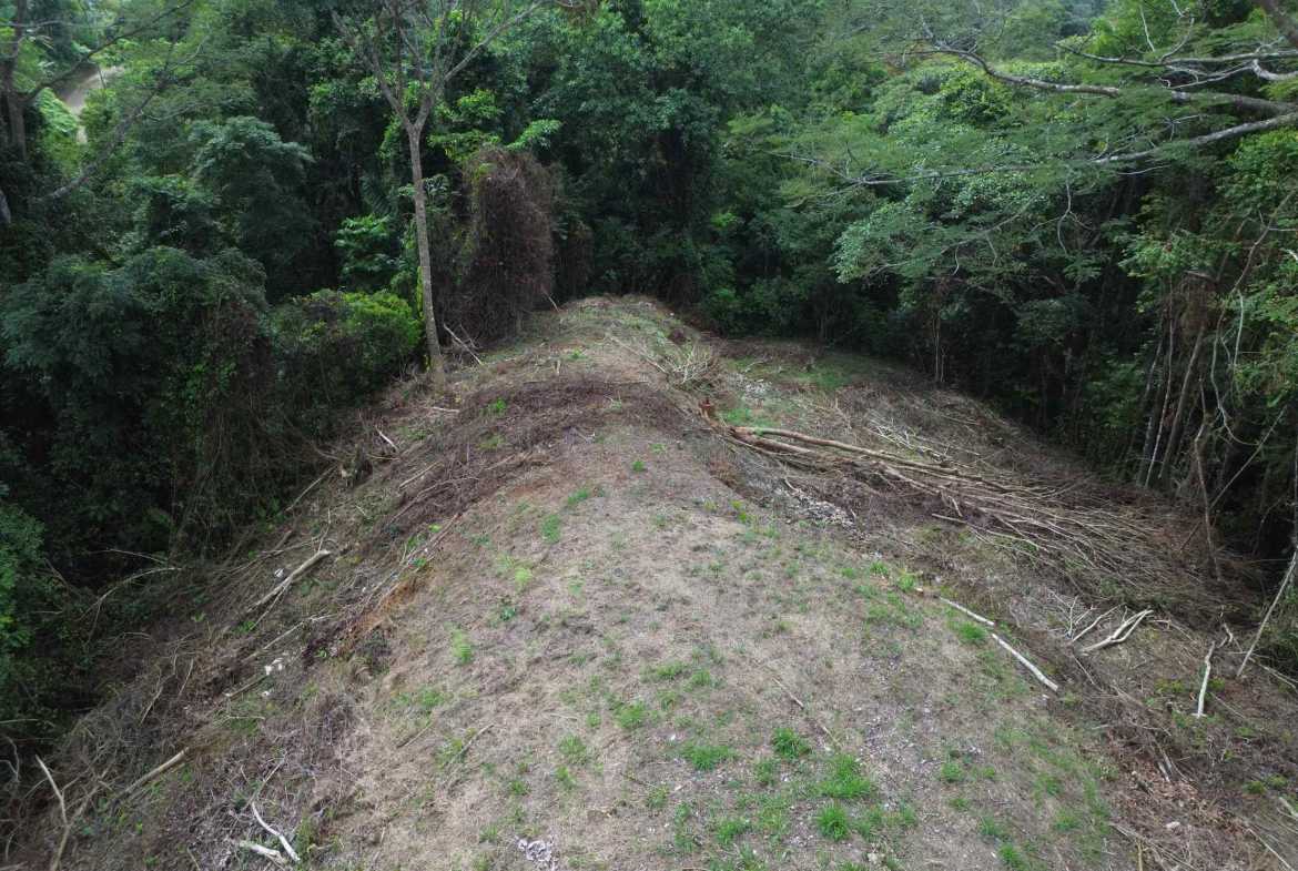 Peaceful 3-Acre Building Lot, photo 13 of 14