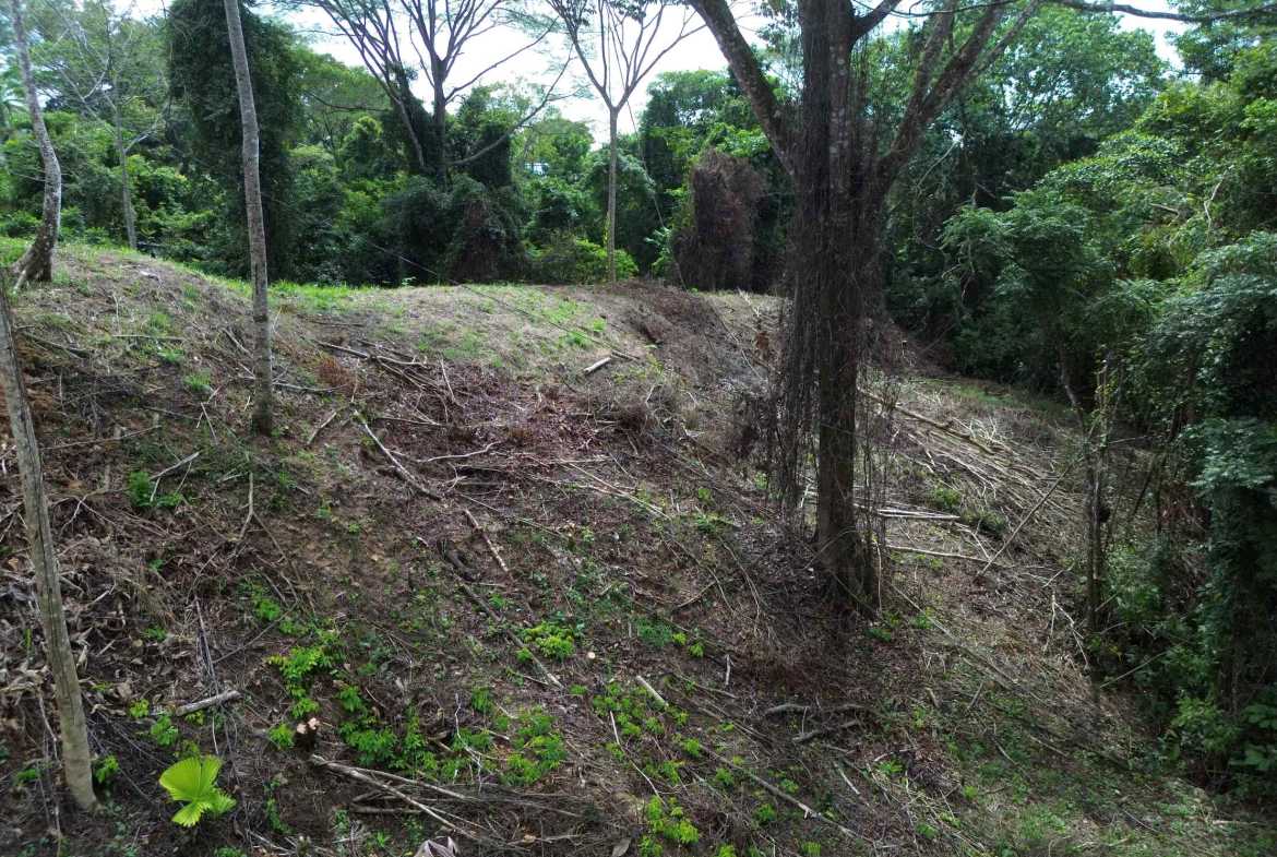 Peaceful 3-Acre Building Lot, photo 12 of 14