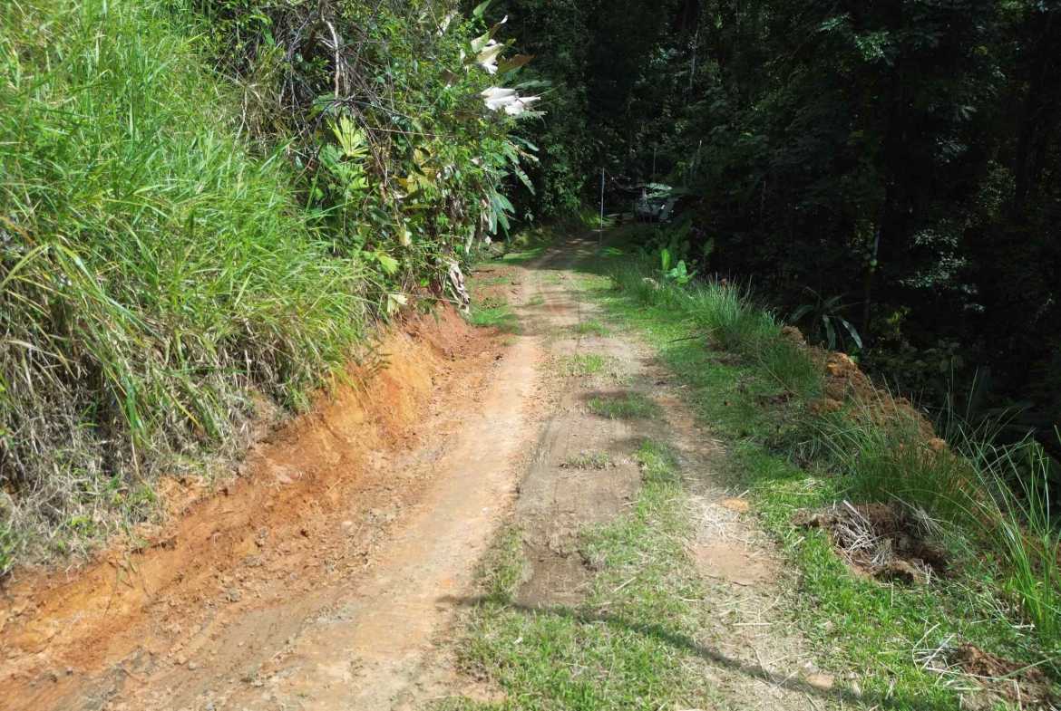 Peaceful 3-Acre Building Lot, photo 11 of 14