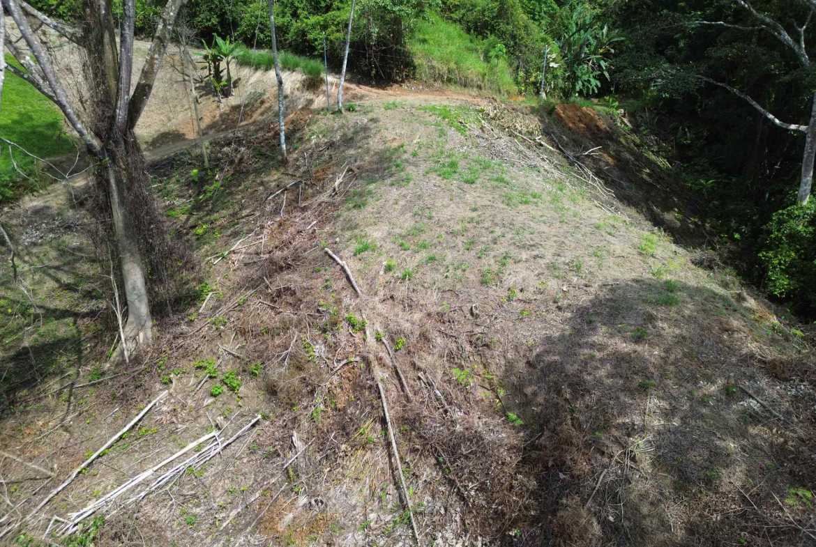 Peaceful 3-Acre Building Lot, photo 10 of 14