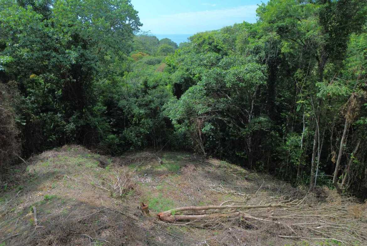 Peaceful 3-Acre Building Lot, photo 9 of 14