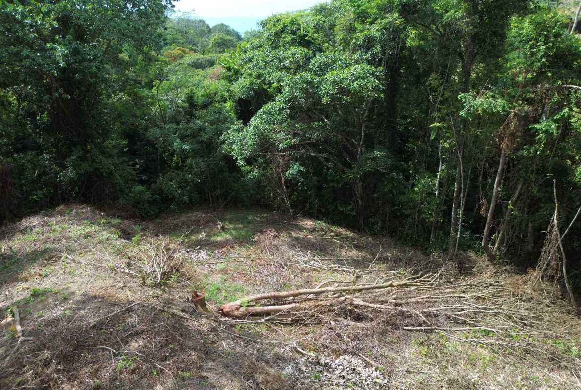 Peaceful 3-Acre Building Lot, photo 8 of 14