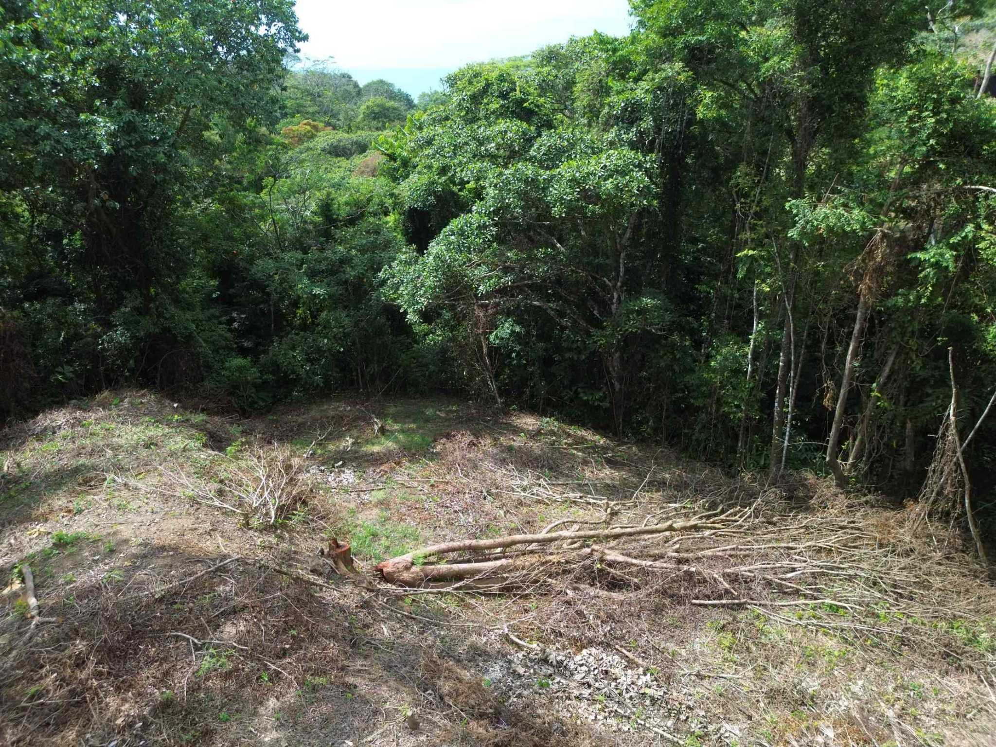Peaceful 3-Acre Building Lot in Uvita Costa Rica