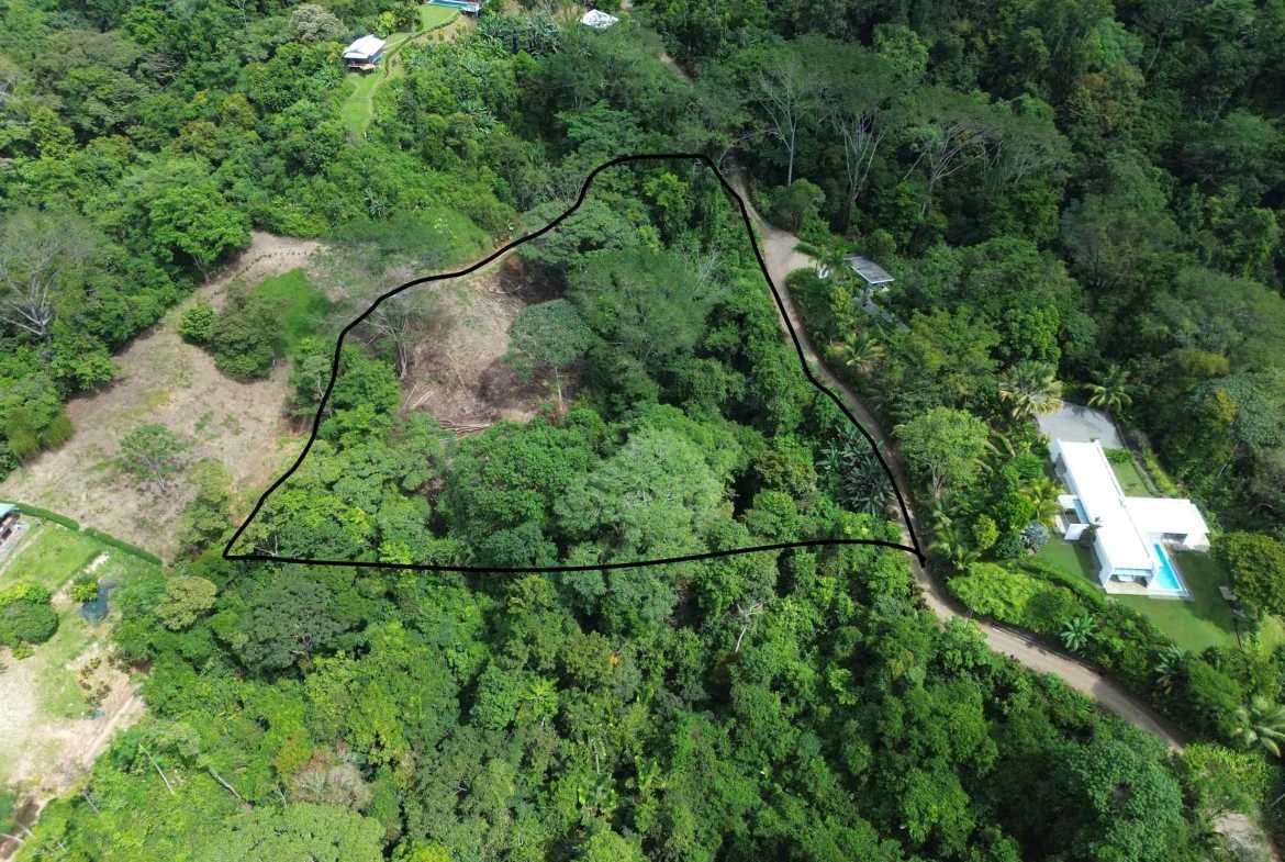 Peaceful 3-Acre Building Lot, photo 4 of 14