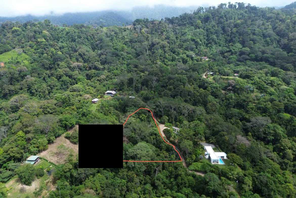 Peaceful 3-Acre Building Lot, photo 5 of 14