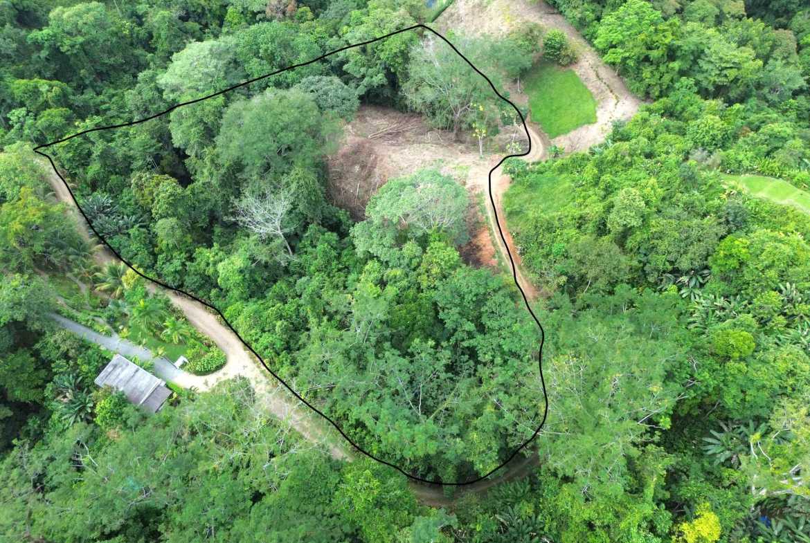 Peaceful 3-Acre Building Lot, photo 3 of 14