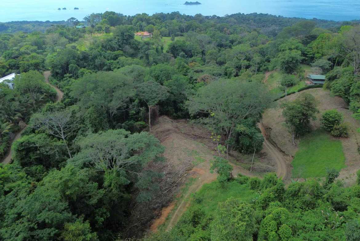 Peaceful 3-Acre Building Lot, photo 2 of 14