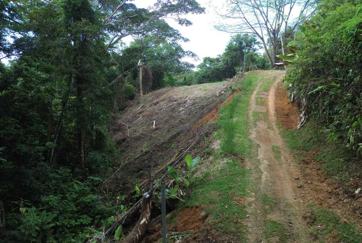Peaceful 3-Acre Building Lot, photo 1 of 14