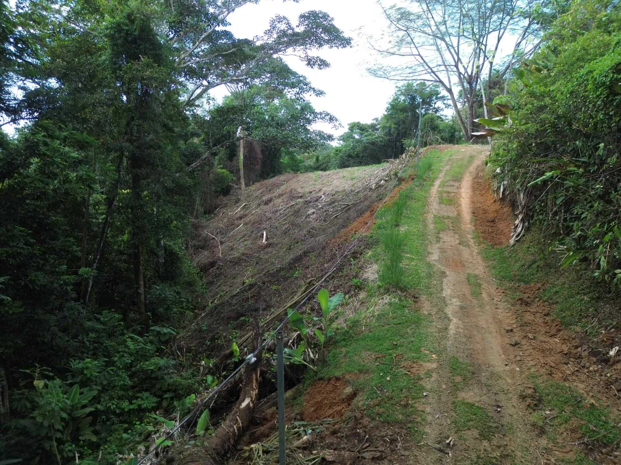 Peaceful 3-Acre Building Lot in Uvita Costa Rica