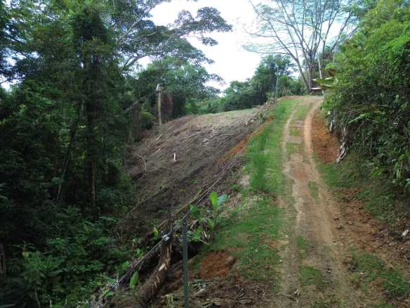 Peaceful 3-Acre Building Lot in Uvita Costa Rica