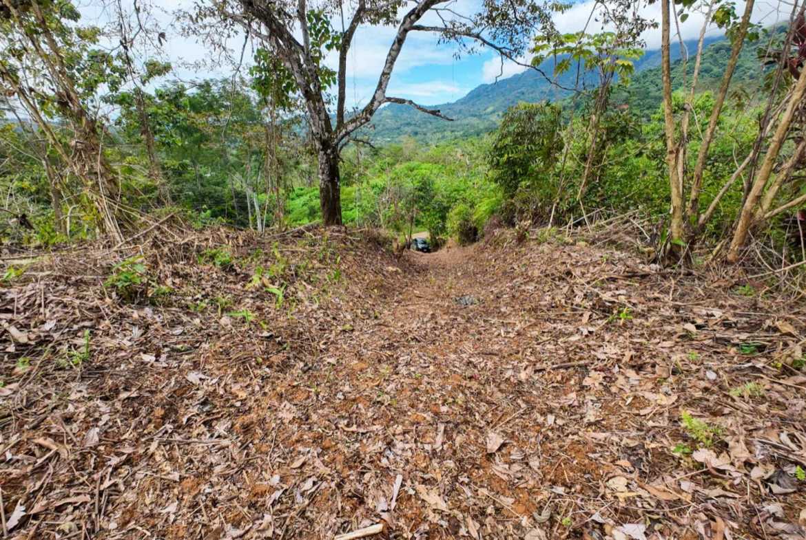 Stunning 5-Bedroom Investment Package with Ocean Views & Mountain Views in Ojochal Costa Rica photo 8