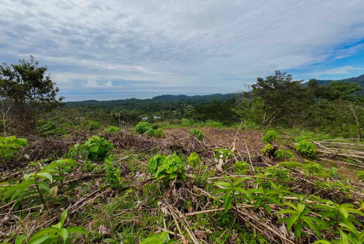 Stunning 5-Bedroom Investment Package with Ocean Views & Mountain Views in Ojochal Costa Rica photo 7