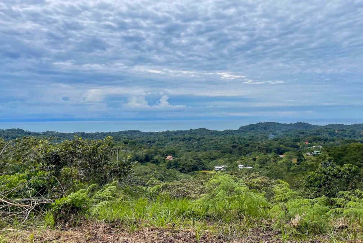 Stunning 5-Bedroom Investment Package with Ocean Views & Mountain Views in Ojochal Costa Rica photo 6