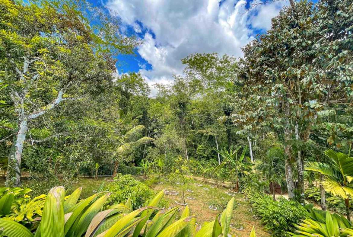 Gorgeous 3-Bedroom Home with Ocean Views & Pool on 2.45 Acres in Tres Rios Costa Rica photo 44