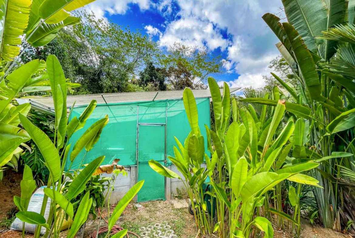 Gorgeous 3-Bedroom Home with Ocean Views & Pool on 2.45 Acres in Tres Rios Costa Rica photo 42