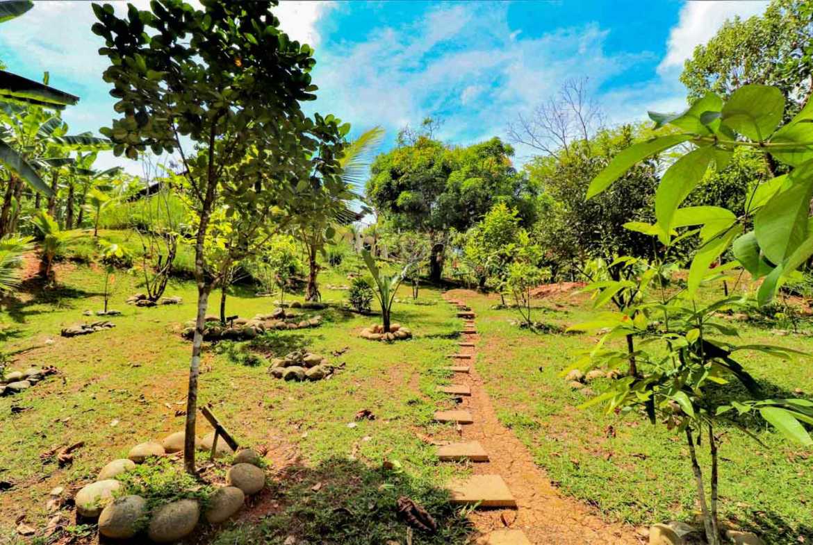 Gorgeous 3-Bedroom Home with Ocean Views & Pool on 2.45 Acres in Tres Rios Costa Rica photo 12