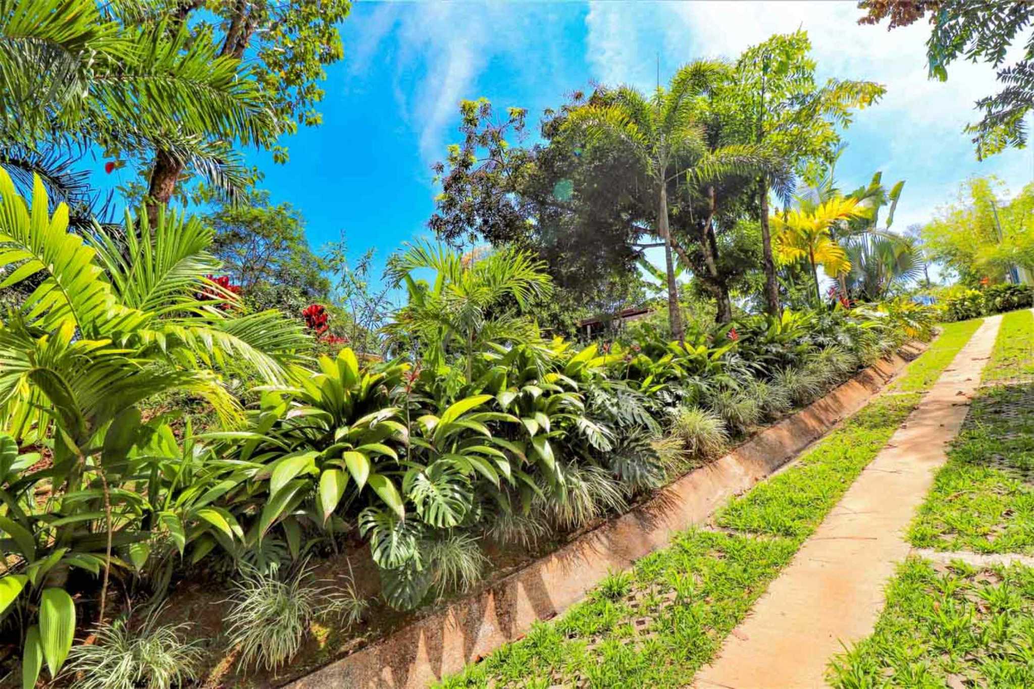 Gorgeous 3-Bedroom Home with Ocean Views & Pool on 2.45 Acres in Tres Rios Costa Rica
