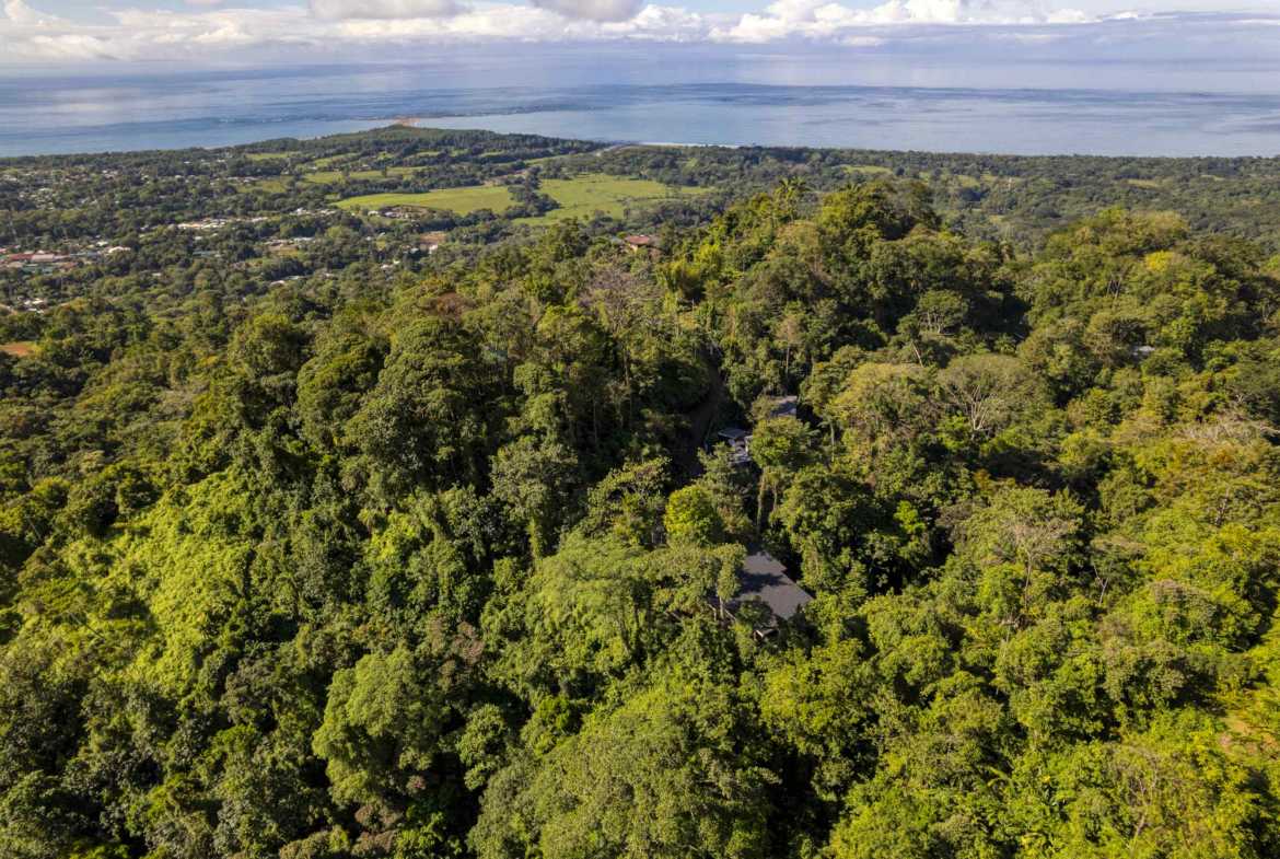 3-Bedroom Jungle Villa with Ocean Views & Private Pool, photo 21 of 24
