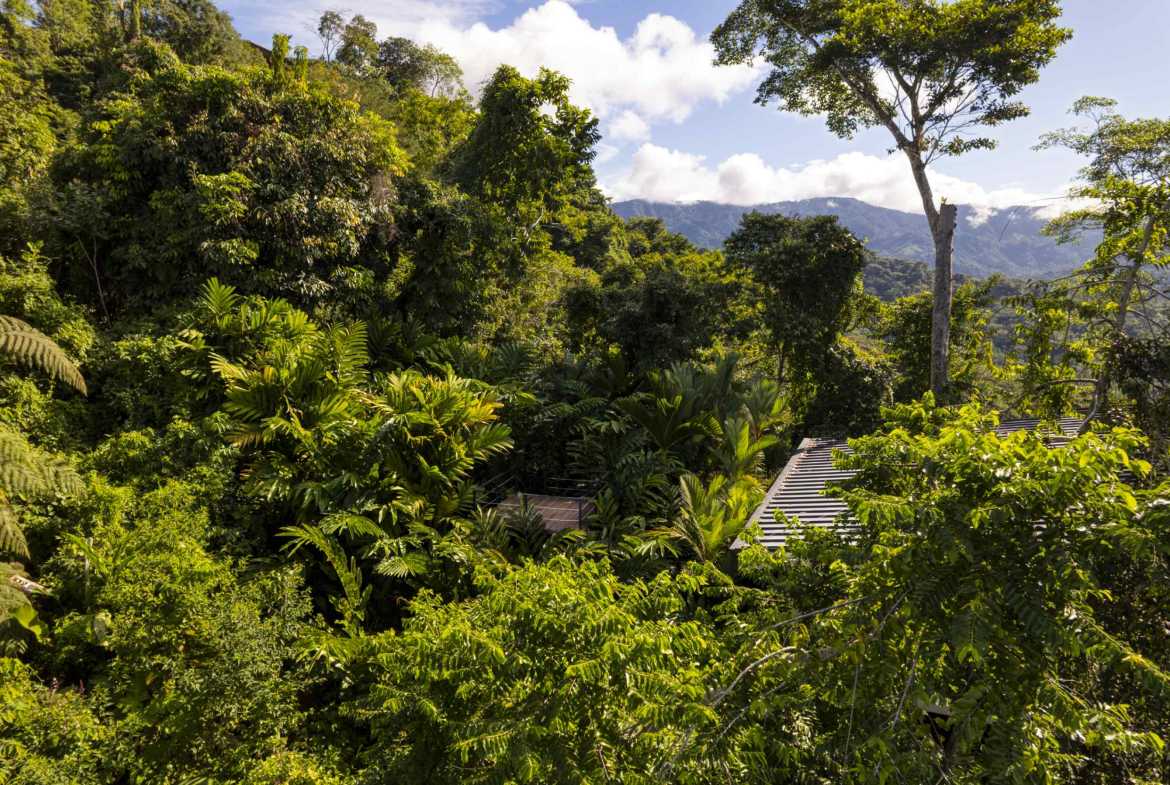 3-Bedroom Jungle Villa with Ocean Views & Private Pool, photo 4 of 24