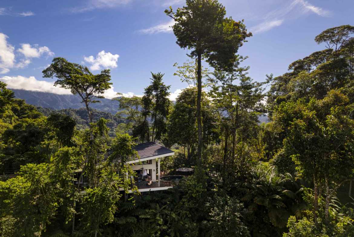 3-Bedroom Jungle Villa with Ocean Views & Private Pool, photo 1 of 24