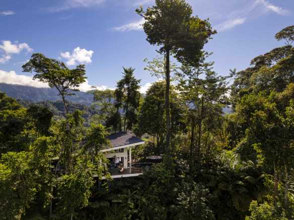 Stunning 3-Bedroom Jungle Villa with Ocean Views & Private Pool in Uvita Costa Rica
