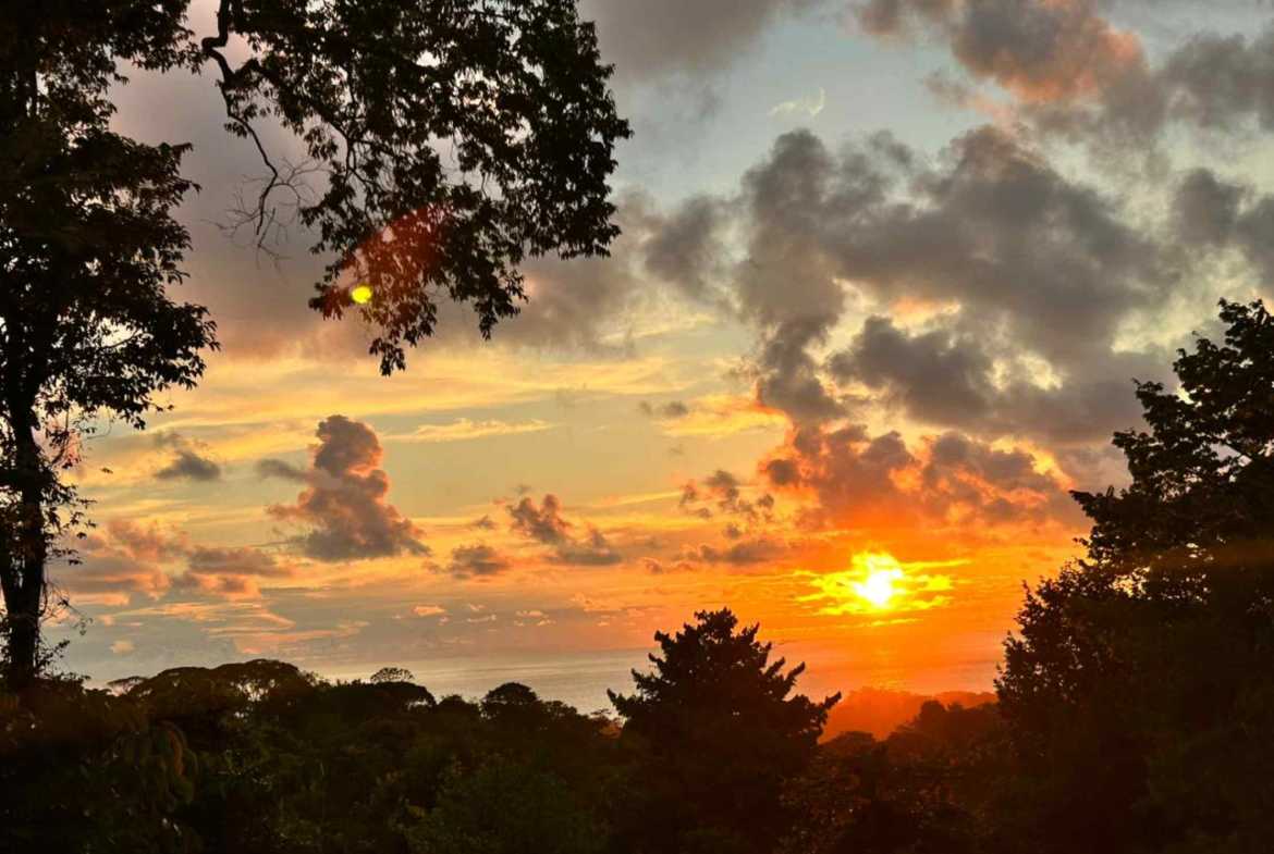 Ocean View 1.7-Acre Building Lot with Income-Producing Cabin in Uvita Costa Rica photo 20