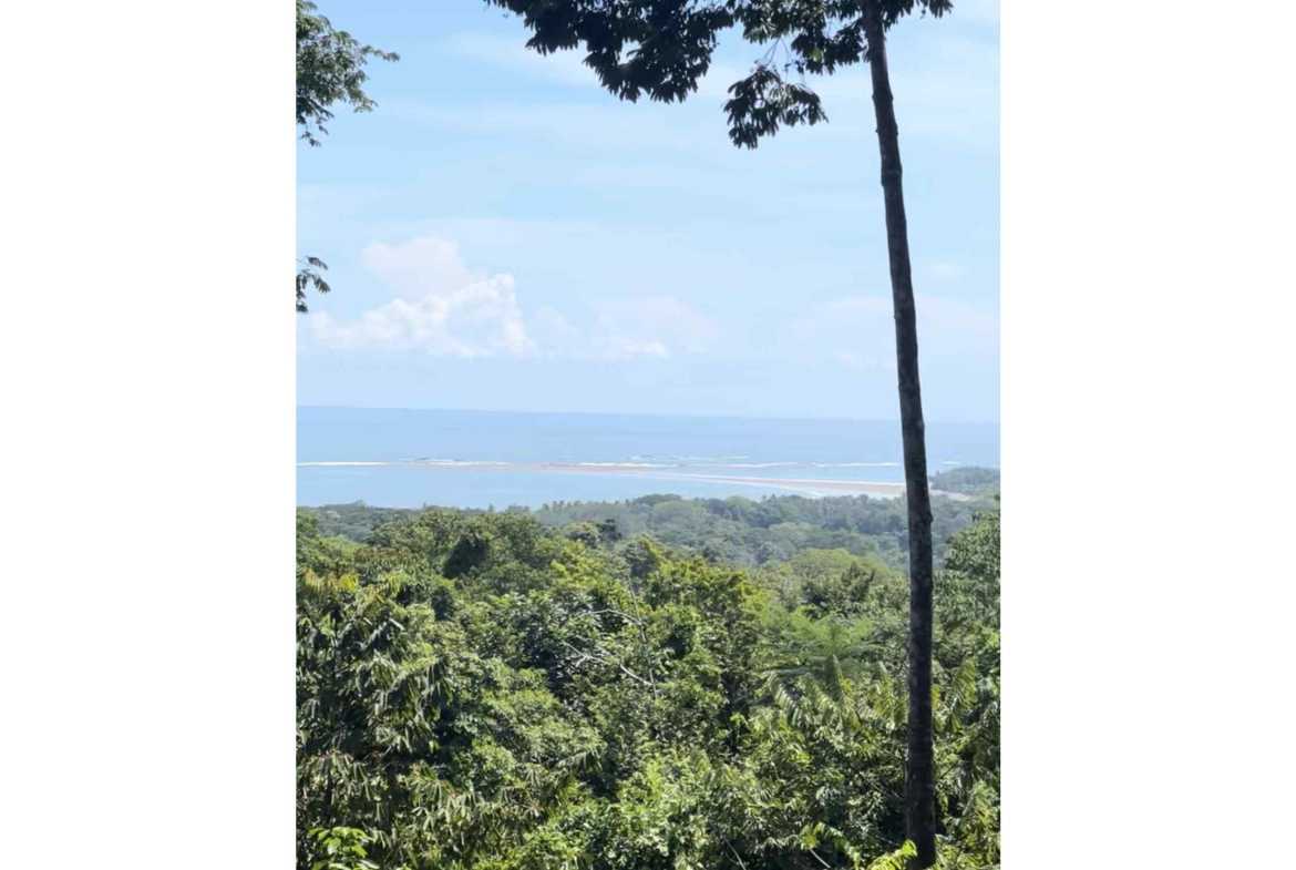 Ocean View 1.7-Acre Building Lot with Income-Producing Cabin in Uvita Costa Rica photo 13