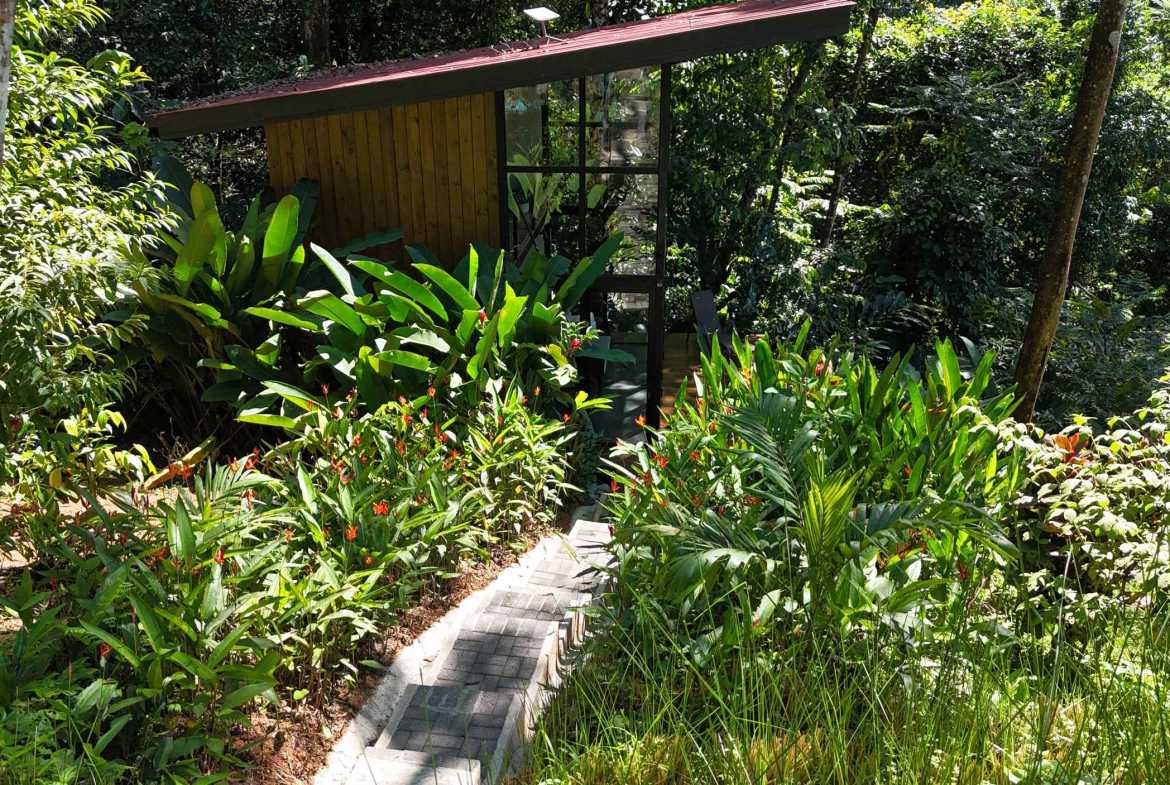Ocean View 1.7-Acre Building Lot with Income-Producing Cabin in Uvita Costa Rica photo 11