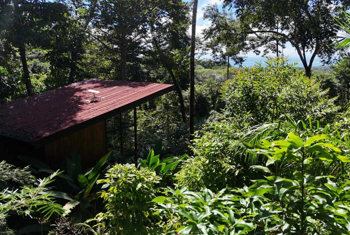 Ocean View 1.7-Acre Building Lot with Income-Producing Cabin in Uvita Costa Rica photo 10