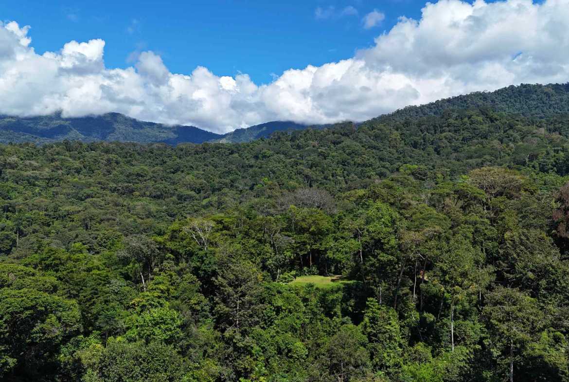 Ocean View 1.7-Acre Building Lot with Income-Producing Cabin in Uvita Costa Rica photo 3