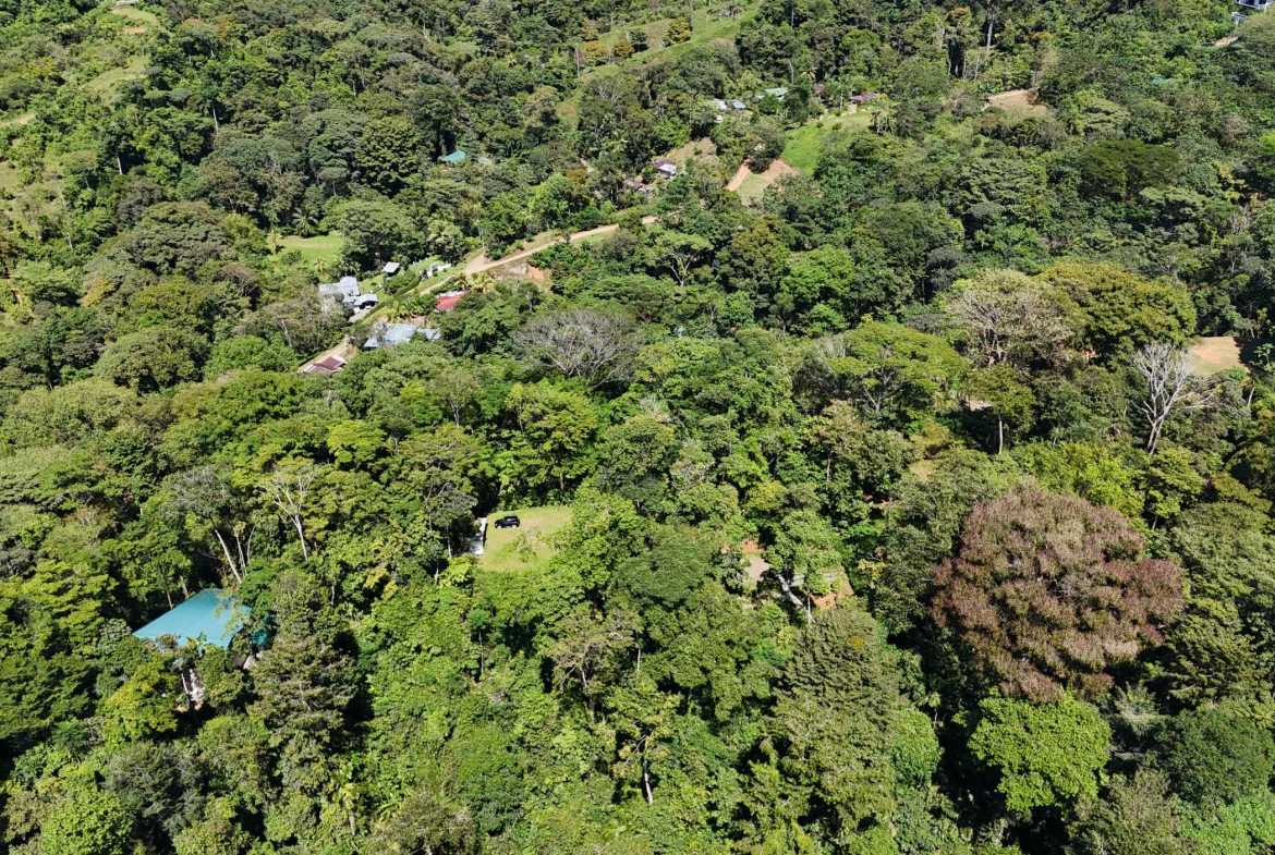 Ocean View 1.7-Acre Building Lot with Income-Producing Cabin in Uvita Costa Rica photo 5