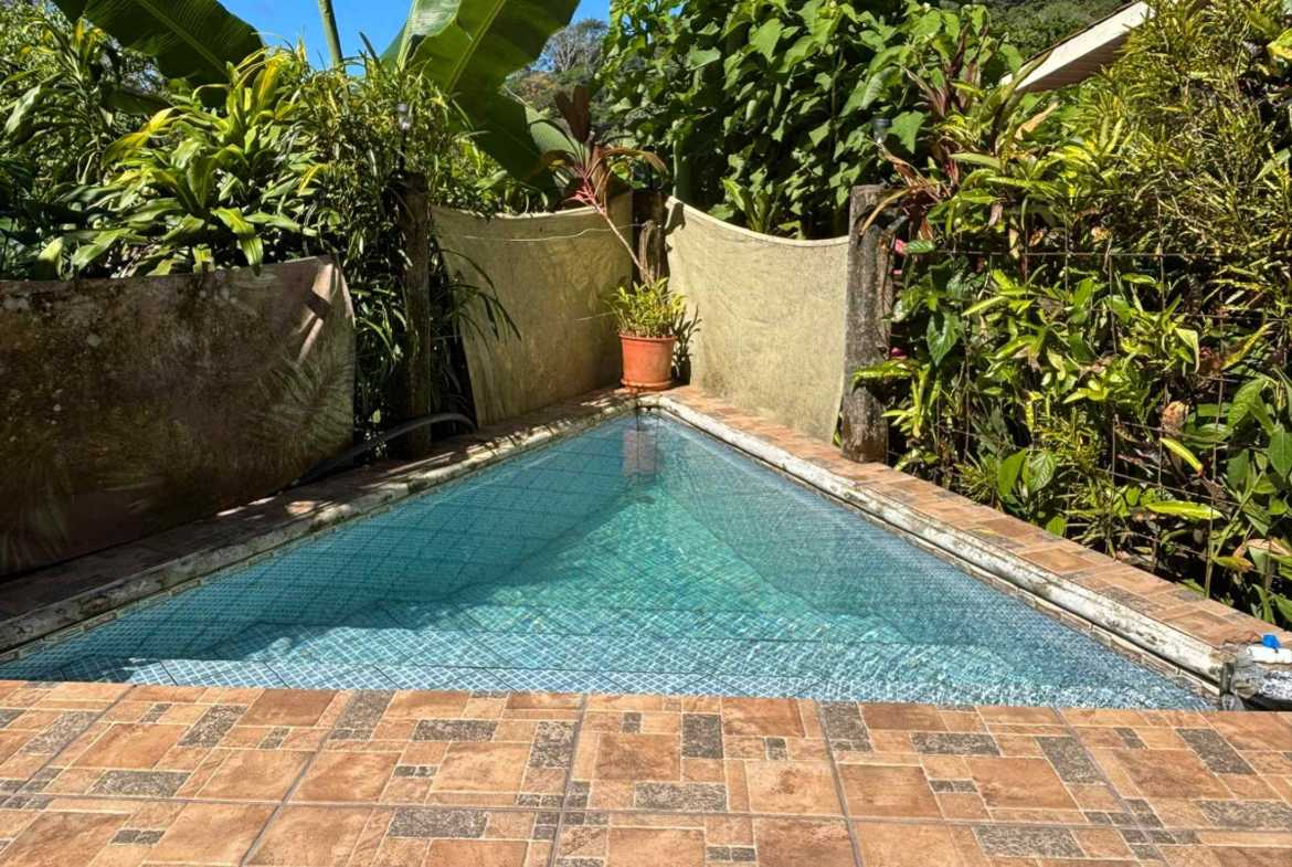 Charming 2-Bedroom Home with River Views & Dip Pool in Dominical Costa Rica