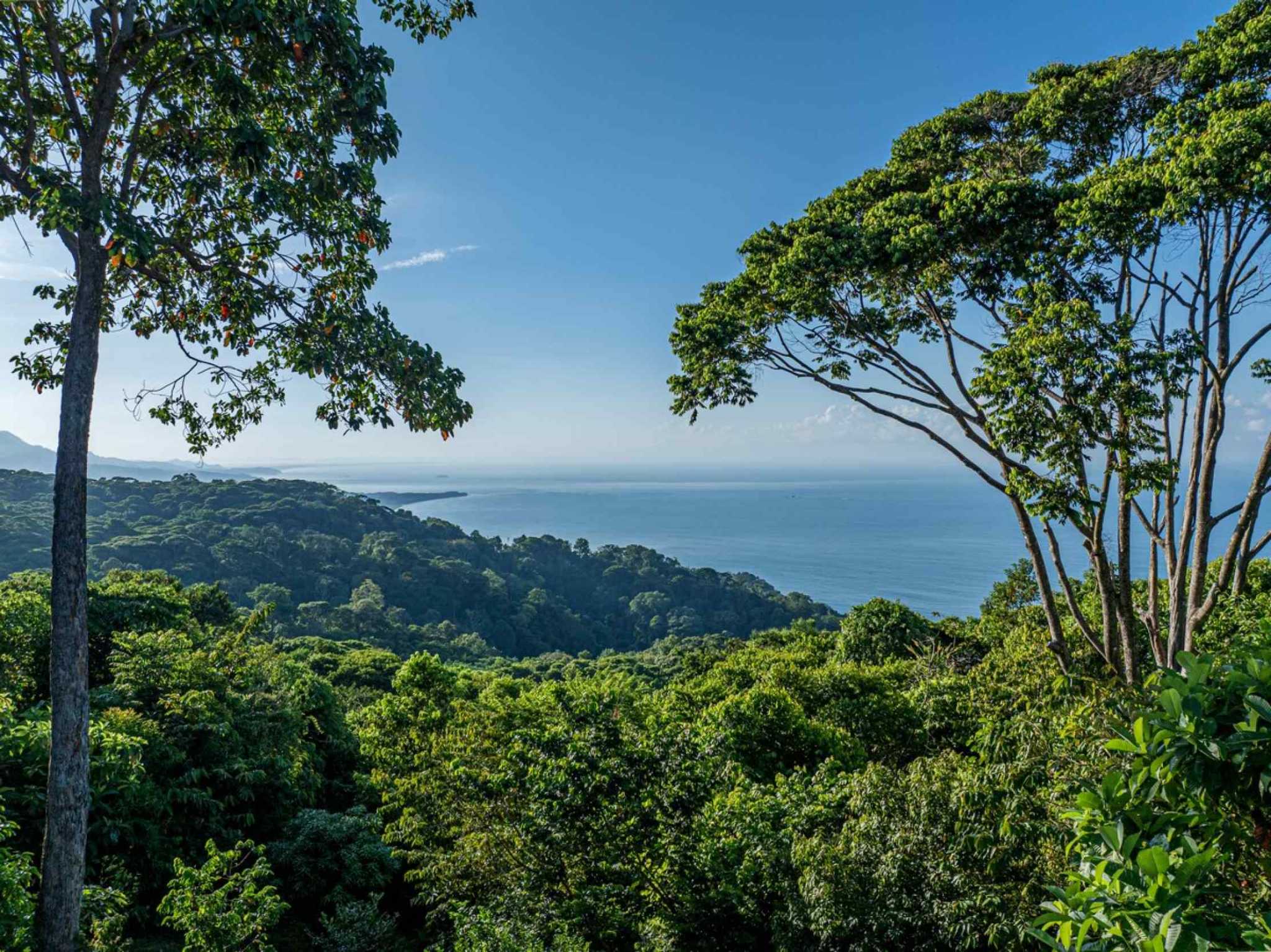 57464-1 Stunning 2-Bedroom Estate with Infinity Pool & Whale’s Tail Ocean Views in Dominical Costa Rica
