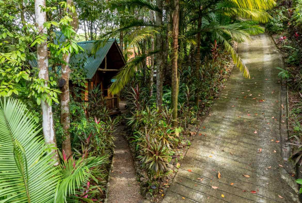 Exclusive 12-Bedroom Hotel with Ocean Views & Pool, photo 16 of 24