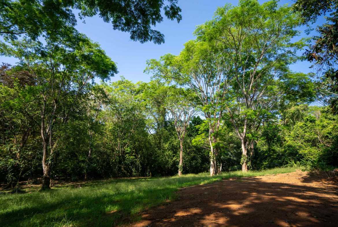 Spectacular 86-Acre Ocean View Raw Development Land with Legal Water in Dominical Costa Rica photo 60