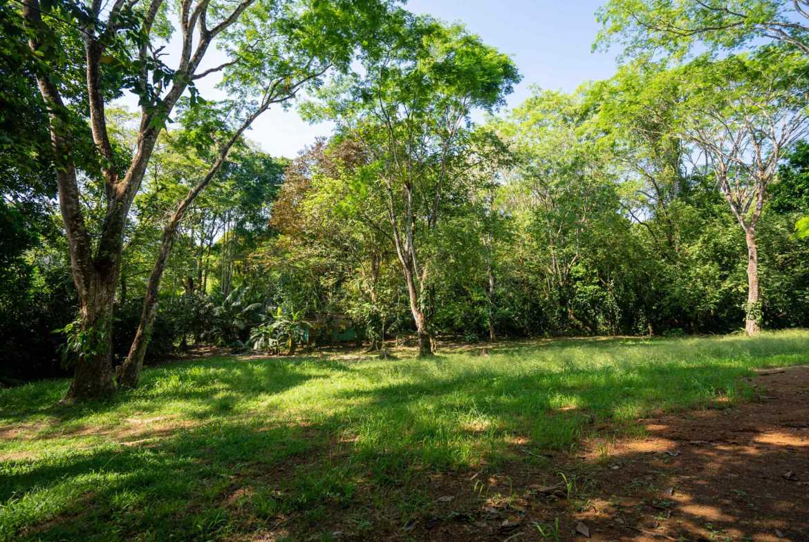 Spectacular 86-Acre Ocean View Raw Development Land with Legal Water in Dominical Costa Rica photo 59