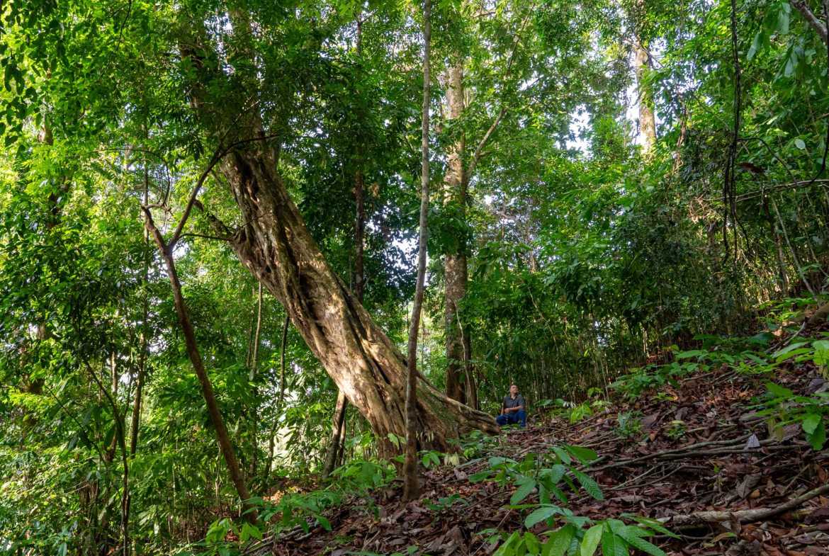 Spectacular 86-Acre Ocean View Raw Development Land with Legal Water in Dominical Costa Rica photo 55