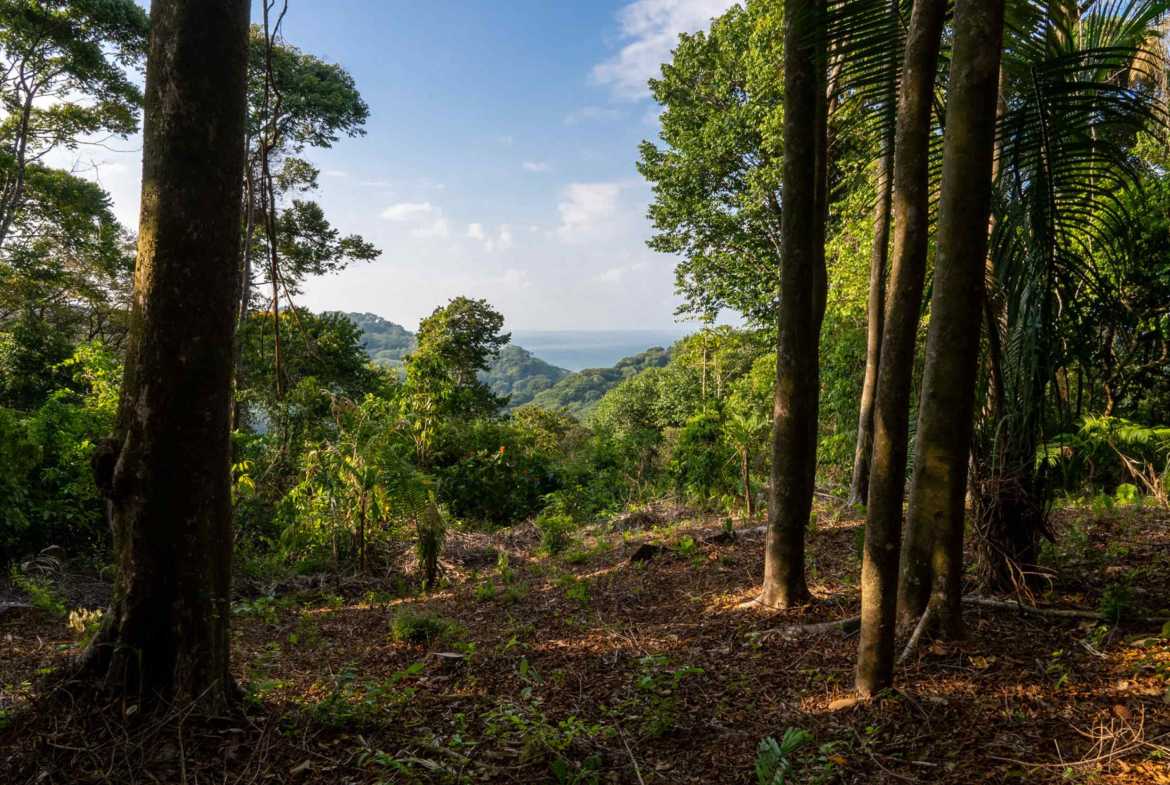 Spectacular 86-Acre Ocean View Raw Development Land with Legal Water in Dominical Costa Rica photo 50