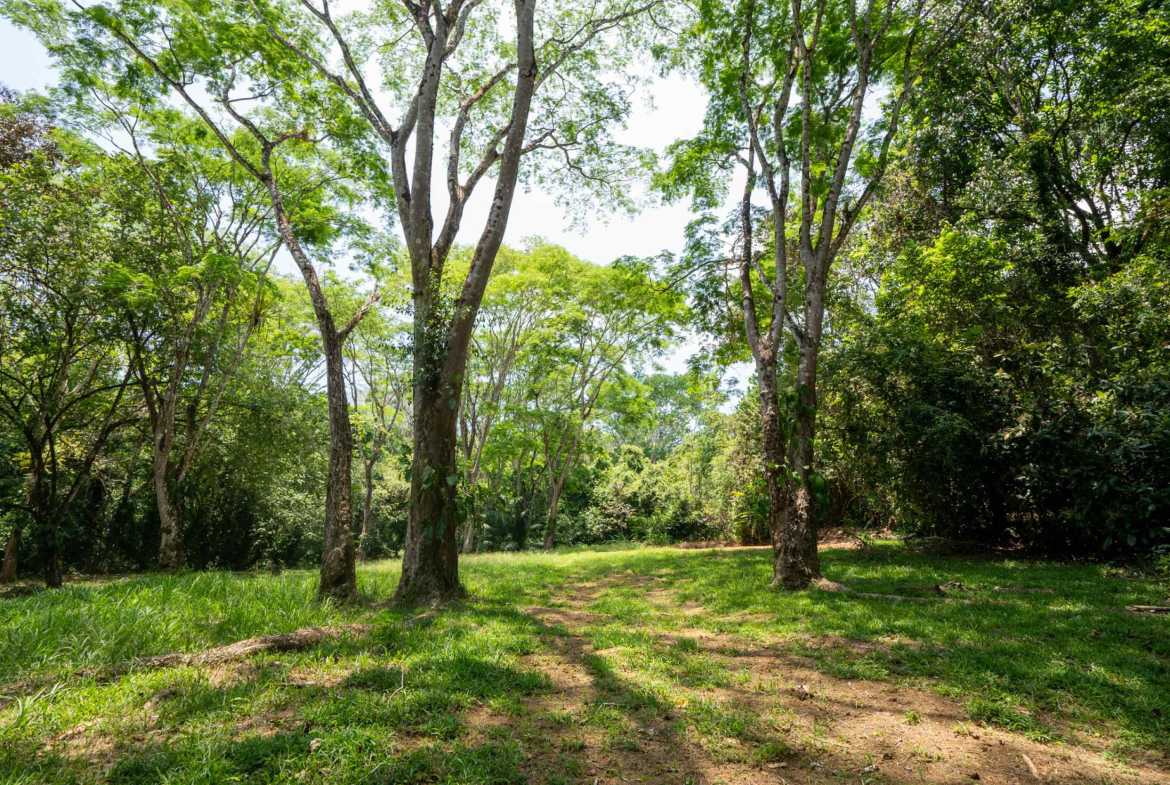 Spectacular 86-Acre Ocean View Raw Development Land with Legal Water in Dominical Costa Rica photo 48