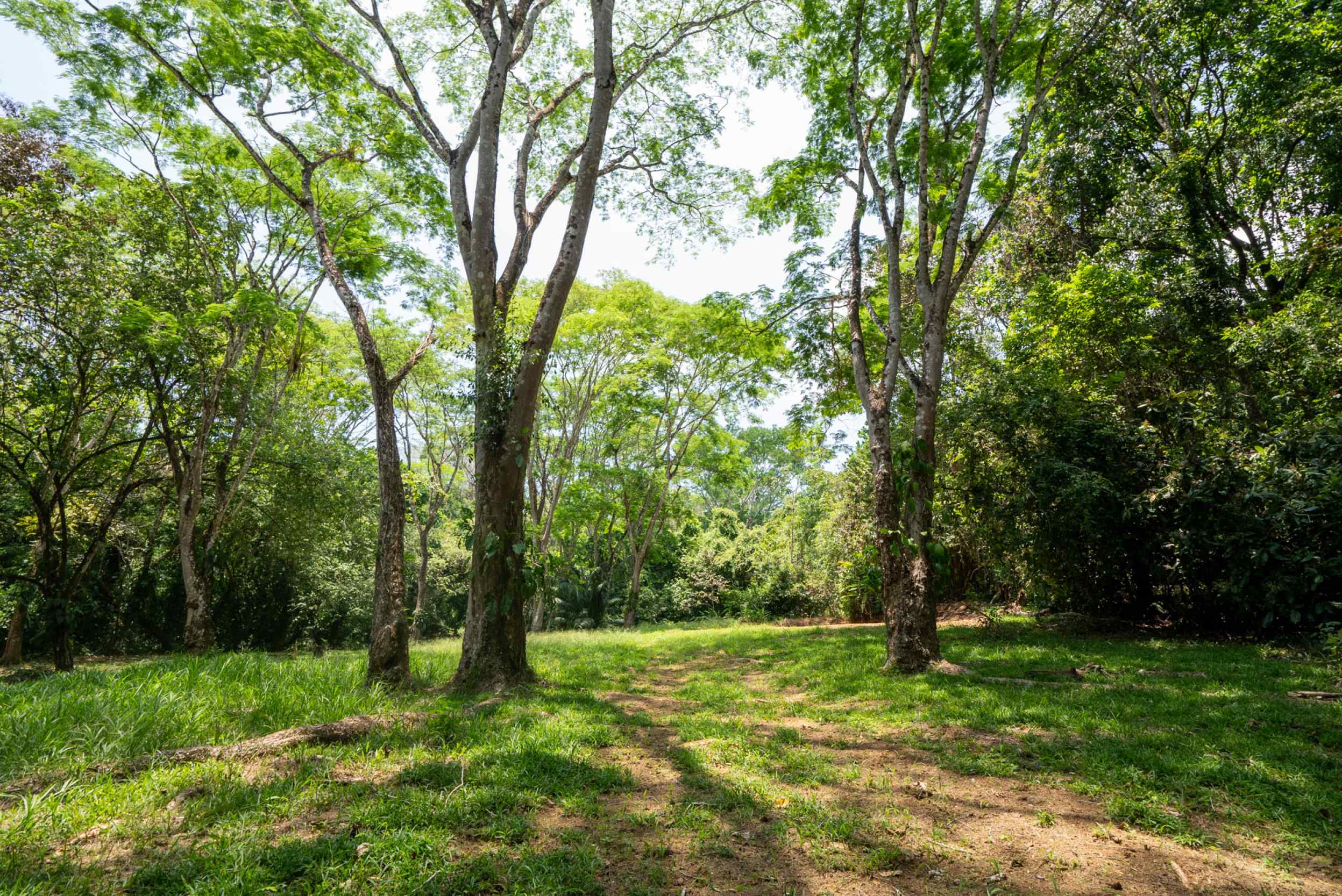 1170