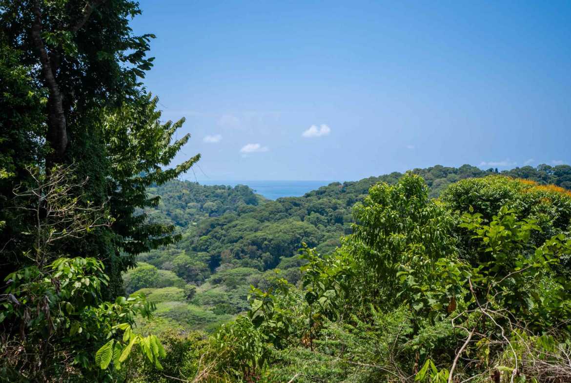 Spectacular 86-Acre Ocean View Raw Development Land with Legal Water in Dominical Costa Rica photo 41