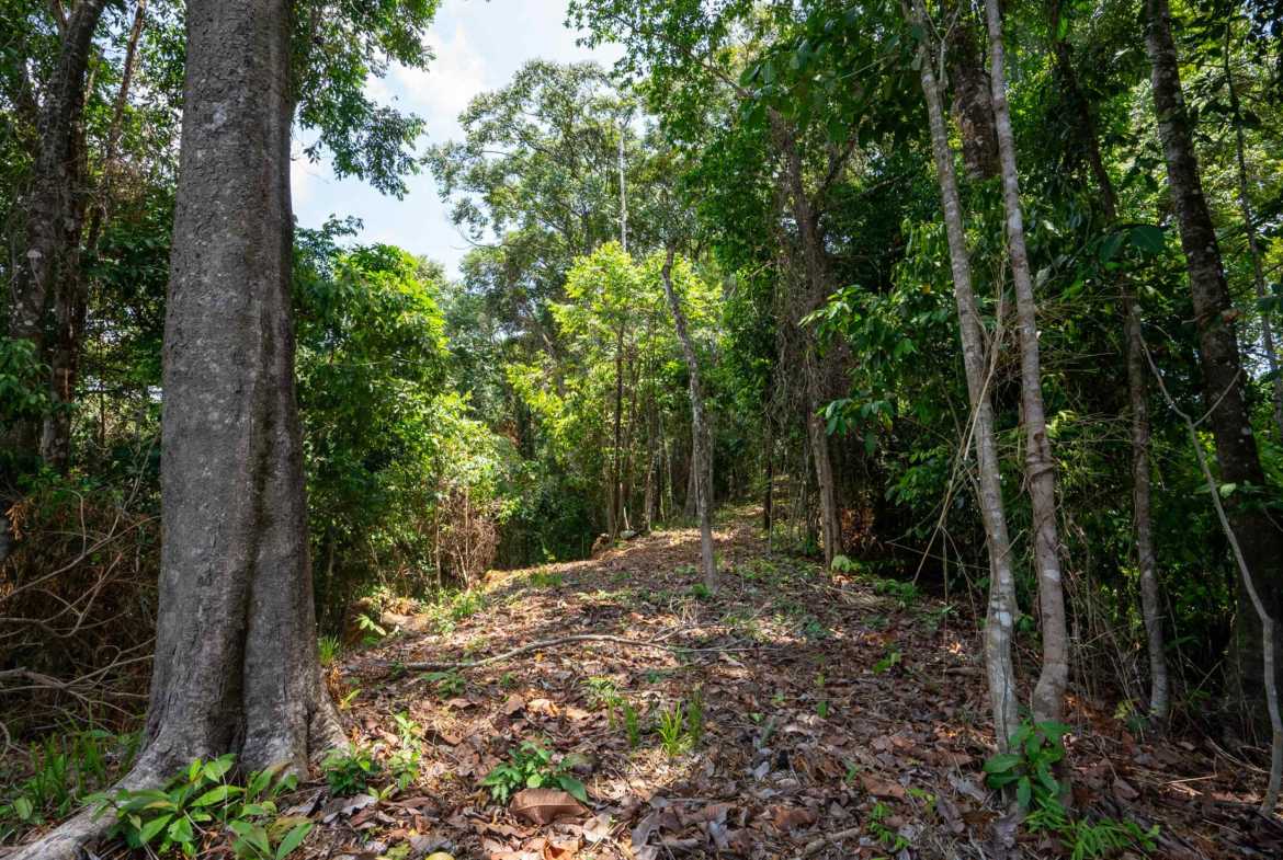 Spectacular 86-Acre Ocean View Raw Development Land with Legal Water in Dominical Costa Rica photo 38