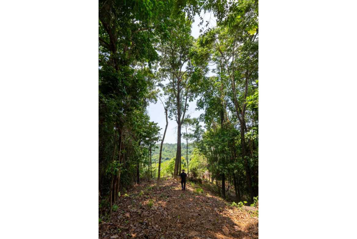 Spectacular 86-Acre Ocean View Raw Development Land with Legal Water in Dominical Costa Rica photo 37