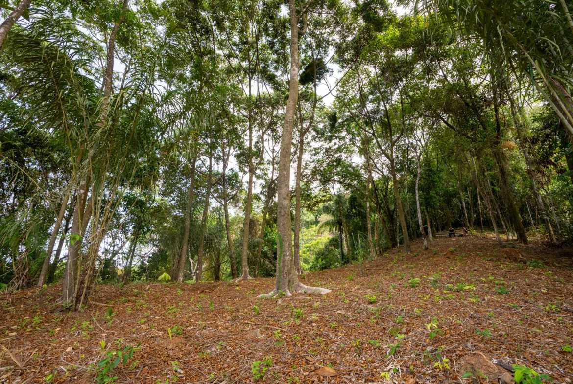 Spectacular 86-Acre Ocean View Raw Development Land with Legal Water in Dominical Costa Rica photo 36
